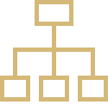 L'organizzazione