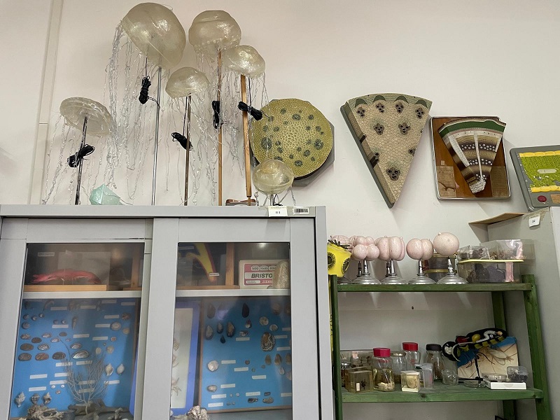 descrizione immagine